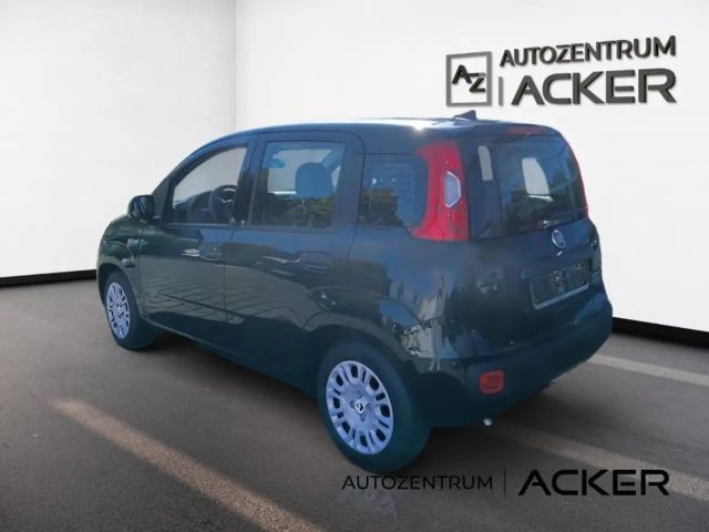 Fiat New Panda
