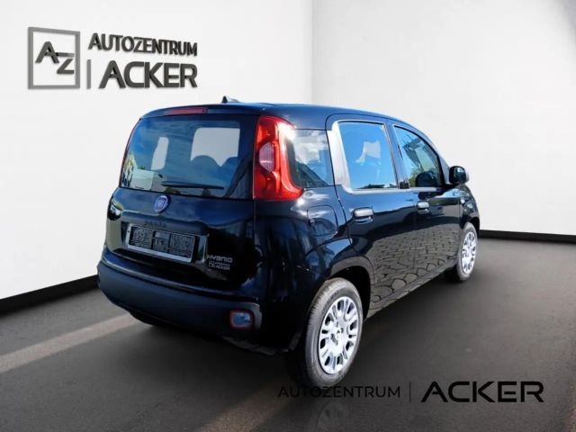 Fiat New Panda