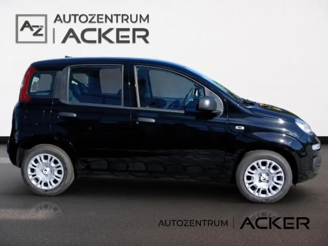 Fiat New Panda