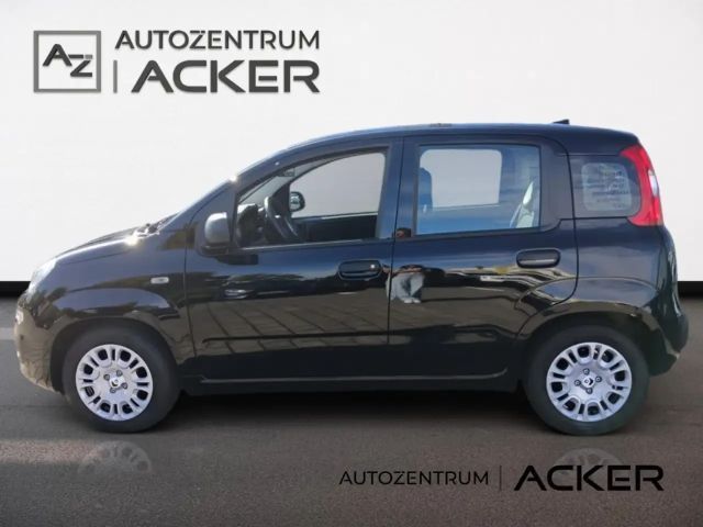 Fiat New Panda