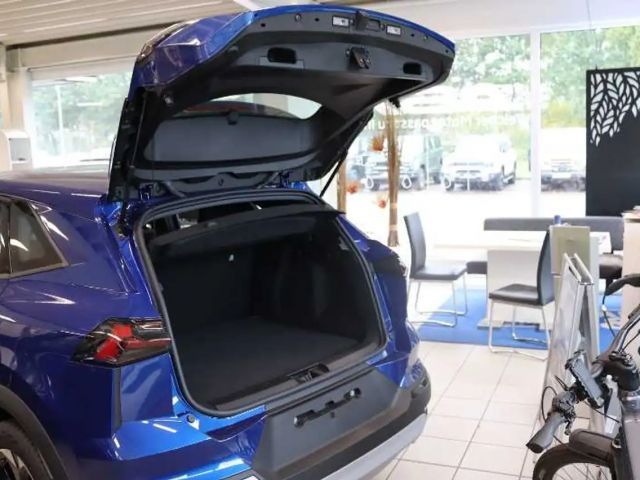 Mitsubishi Grandis