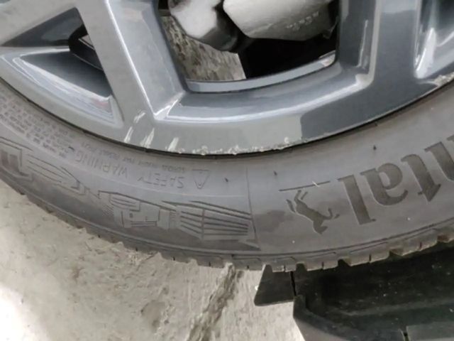 BYD Dolphin Surf