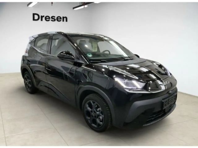 BYD Dolphin Surf