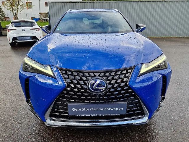 Lexus UX 300e