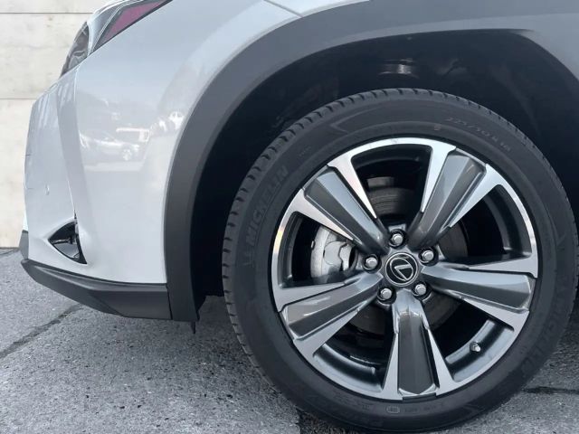 Lexus UX 300e