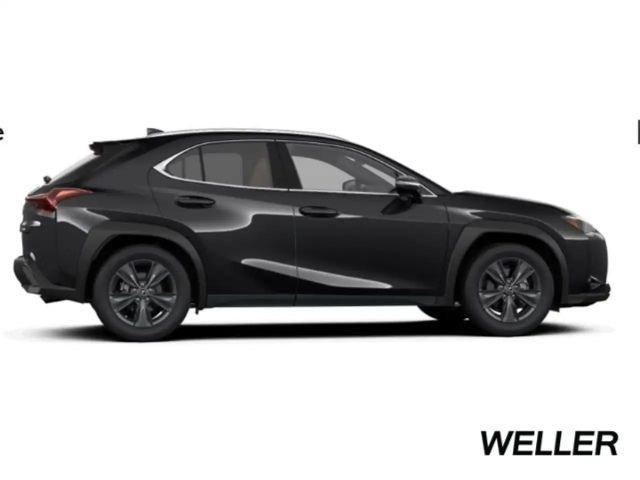 Lexus UX 250h