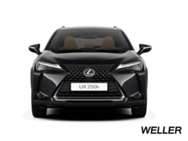 Lexus UX 250h