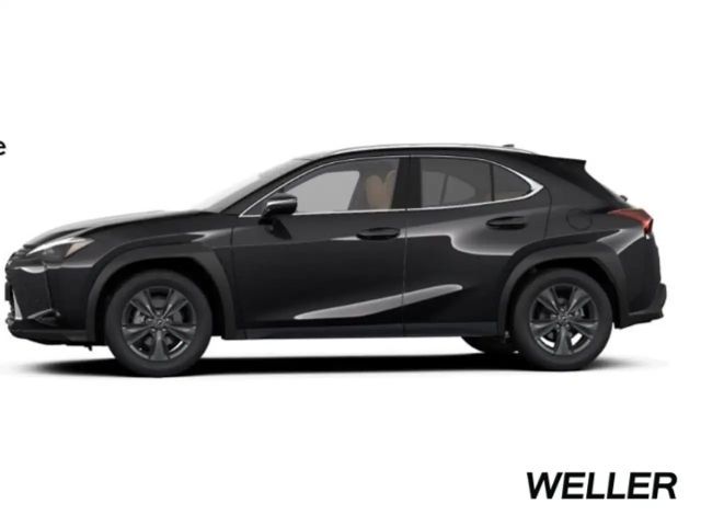 Lexus UX 250h