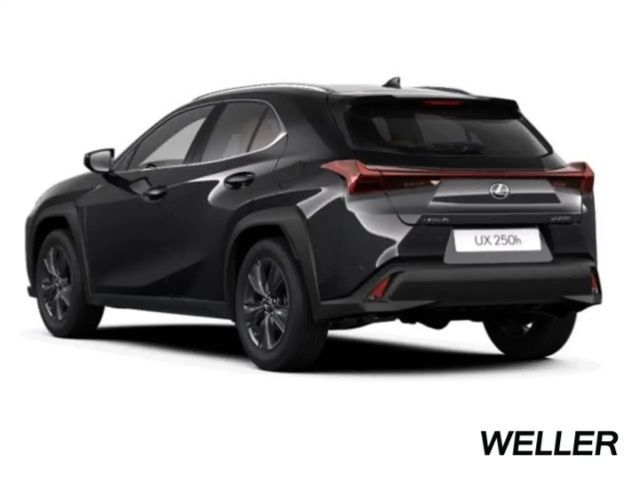 Lexus UX 250h