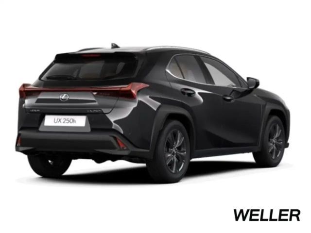 Lexus UX 250h